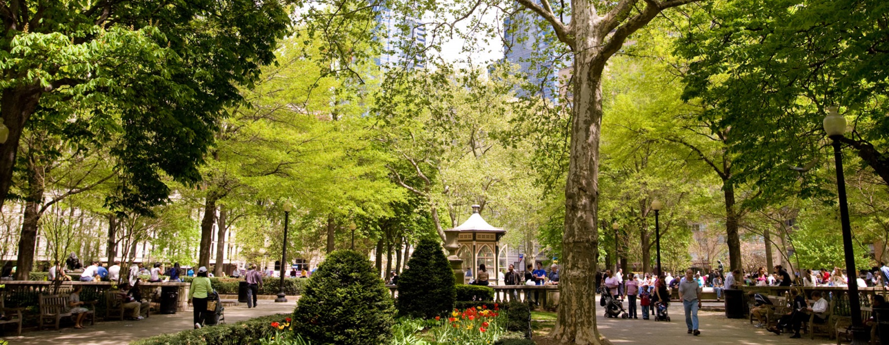 A park with trees in a city