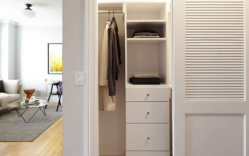 closet with built-in shelving and light fixture