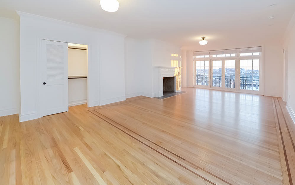 fireplace and closet in spacious living room